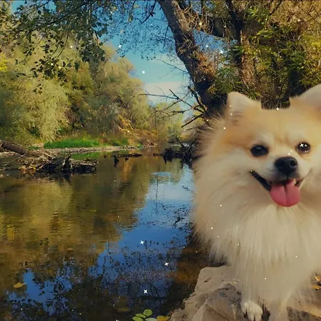 Radetov Domek alpejski *