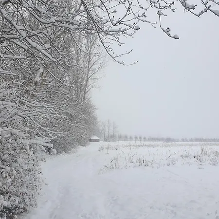 Domek alpejski Radetov *