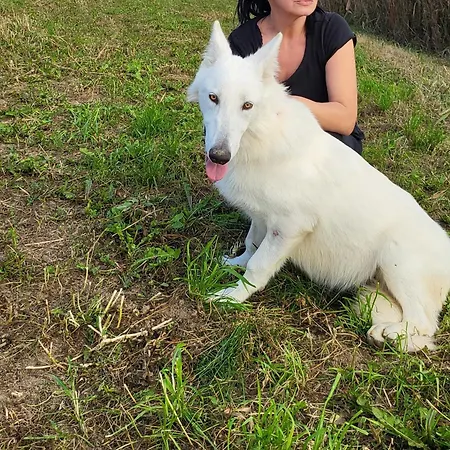 Radetov Domek alpejski Thunis